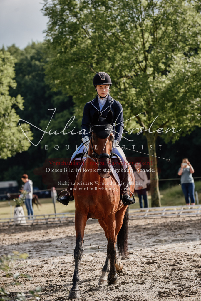 DSC_8480 | Pferde- und Turnierfotografie in Westsachsen. Pferdeportraits, Auftragszeichnungen und intuitive Kunst.
