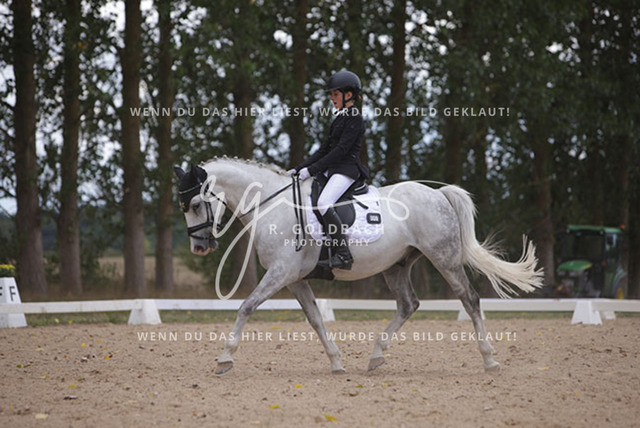 1J2A0993Charlotte Fehr_ Ikon 16_ Kn061_ Wöpkendorf_ Annalena Beier_ Quinn M_ Kn095 | Foto- und Videografie für alles rund ums Pferd. Hochwertige Bilder und Videos vom Spring- und Dressurreiten, Voltigieren & mehr. Jetzt aktuelle Veranstaltungen und Preise im Shop ansehen. - Realisiert mit Pictrs.com