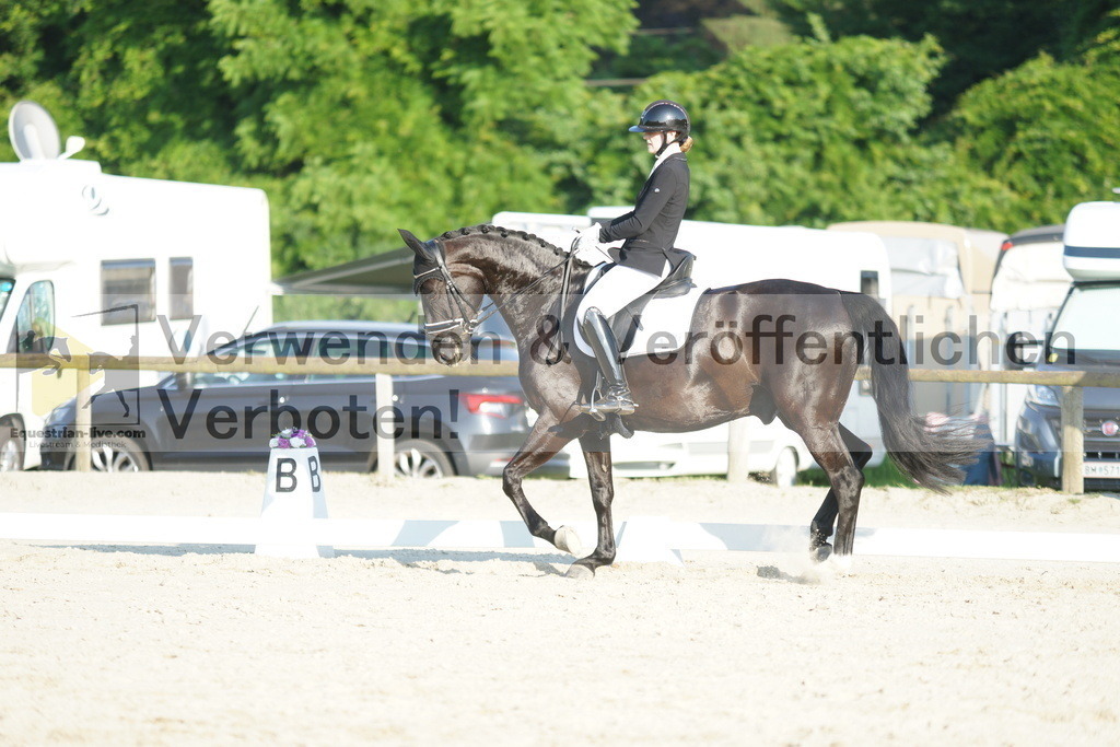 DSC02725 | equestrian-live-com