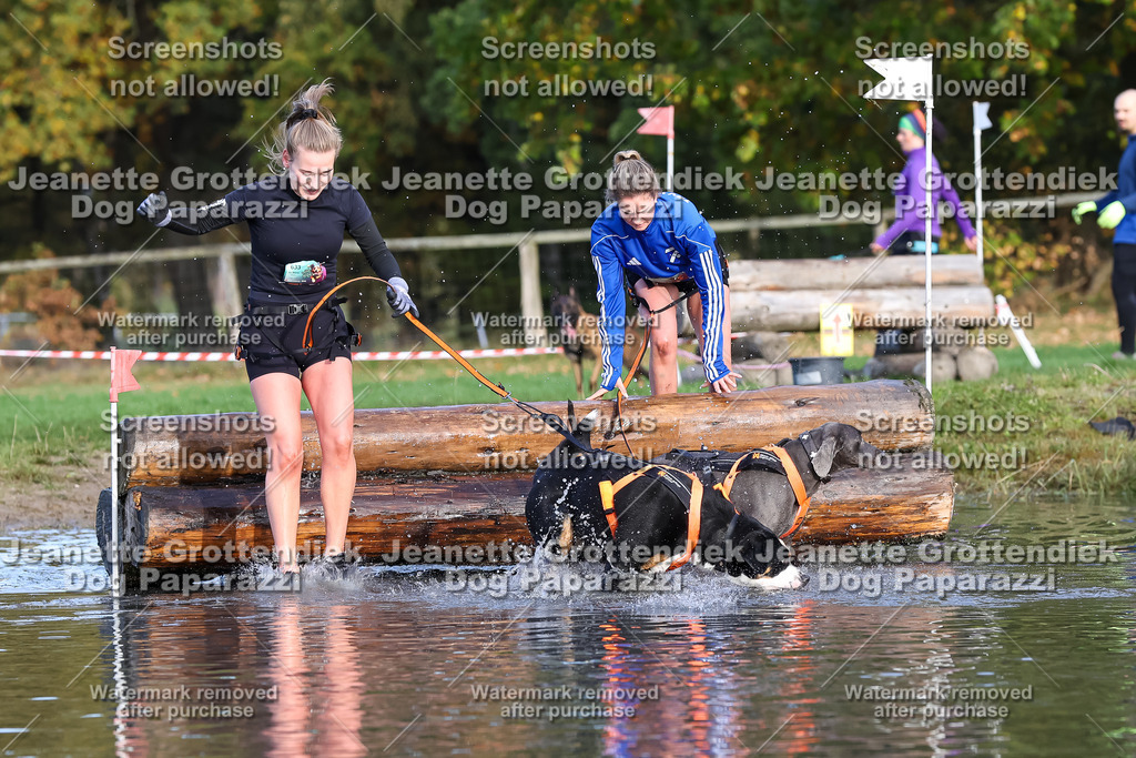 Dog Paparazzi - Strongdog 10-25-8327 | Dog Paparazzi Jeanette Grottendiek Fotografie & Videografie - Realisiert mit Pictrs.com