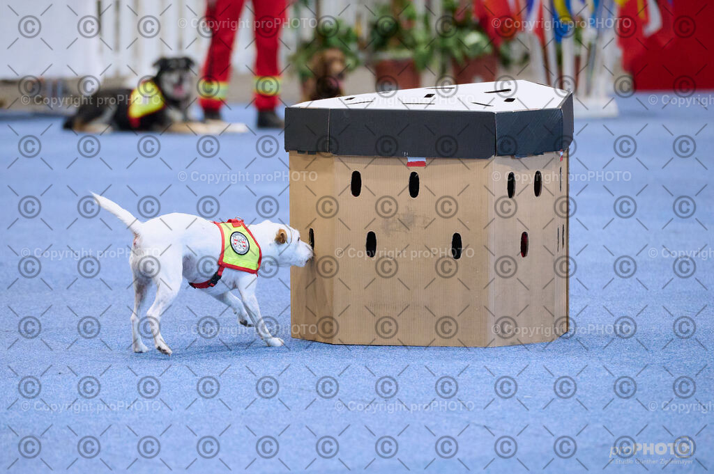 202406_ÖKV-IHA-Tulln24_DSC_3487 | proPHOTO - Realisiert mit Pictrs.com