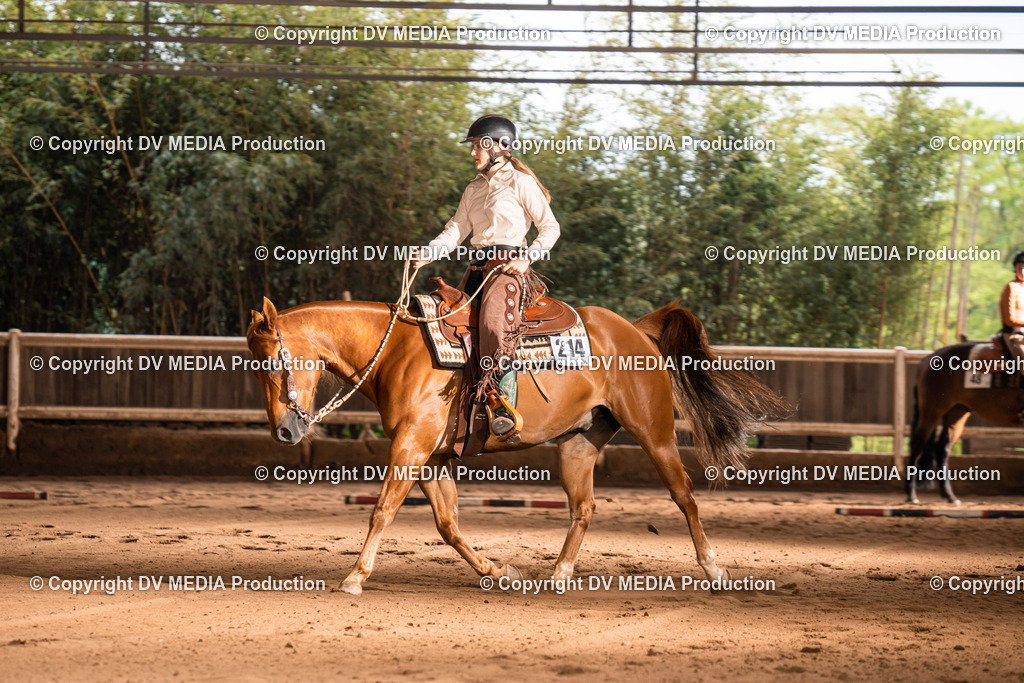 Erbach Tag 4-739 | dv-media-shop - Realisiert mit Pictrs.com