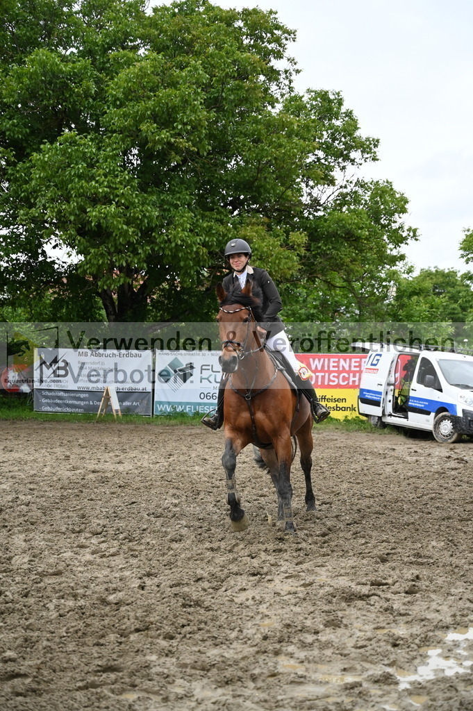 DSC_1768 | equestrian-live-com