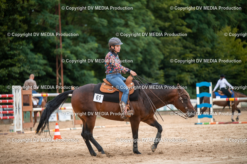 ZS2_8556 | dv-media-shop - Realisiert mit Pictrs.com