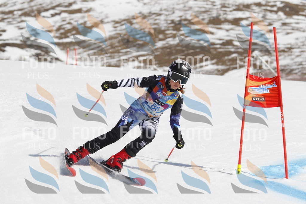 _U3G0126 | holidayphoto