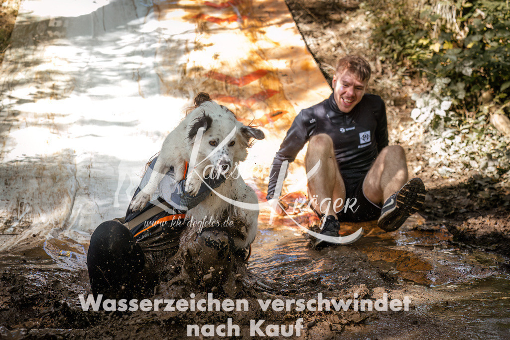 1312_ZZ90879 | kk-dogfotos
