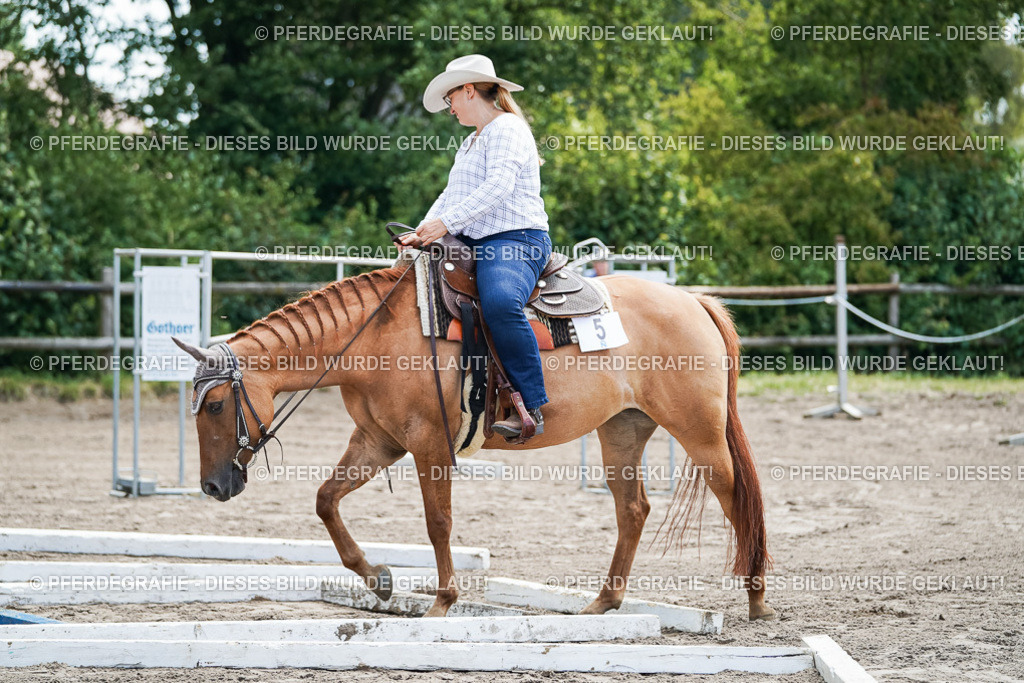 DSC05842 | Pferdegrafie