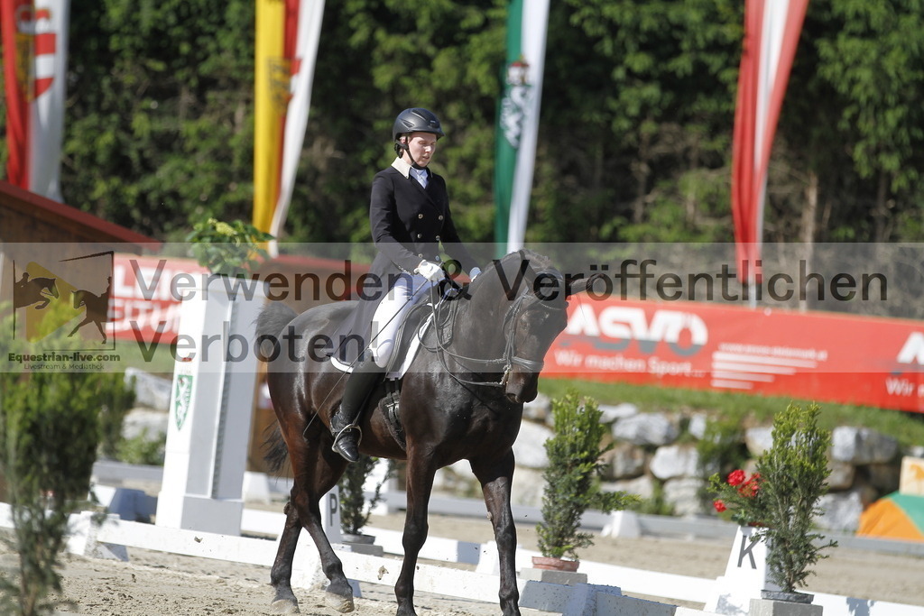 _MG_3103 | equestrian-live-com