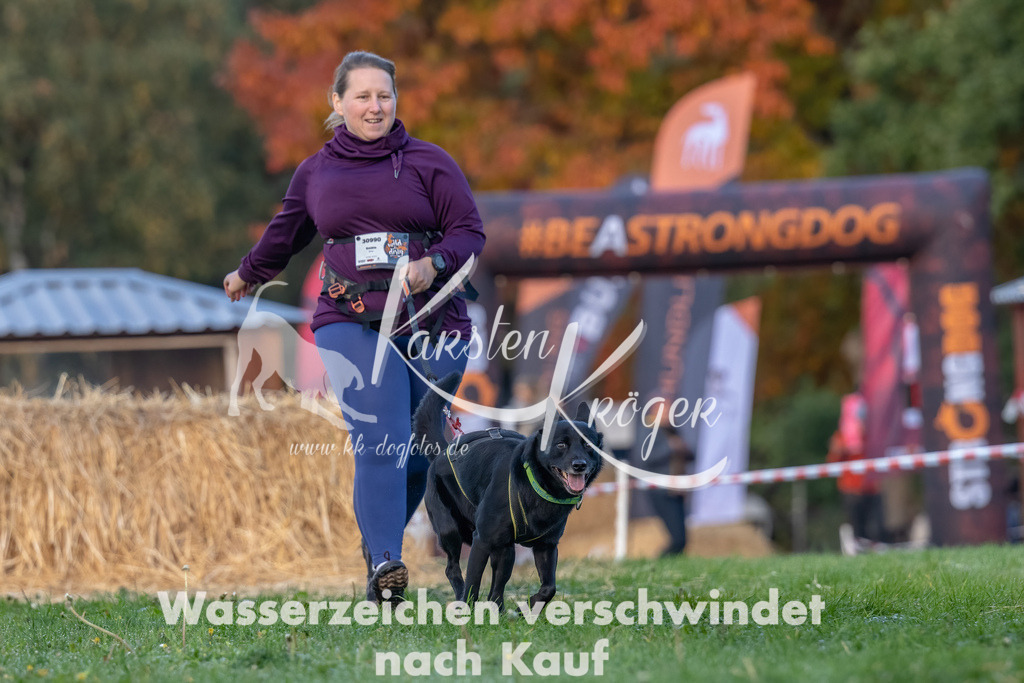 0849_ZZ91528-Bearbeitet | kk-dogfotos
