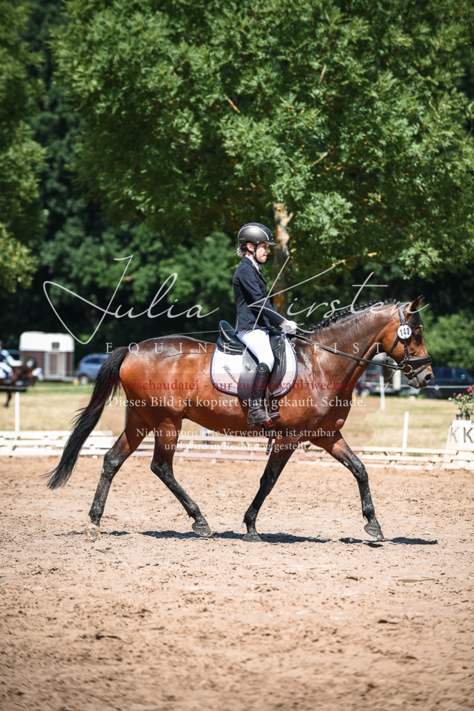 DSC_2863 | Pferde- und Turnierfotografie in Westsachsen. Pferdeportraits, Auftragszeichnungen und intuitive Kunst.