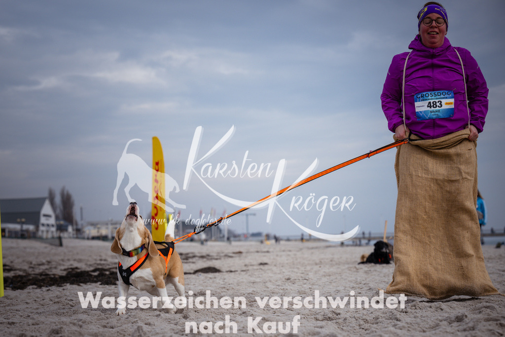 1246_ZZ95582 | kk-dogfotos