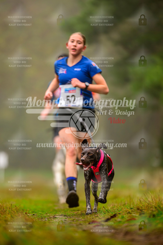 MompixPhotography_Bischwiller2025_Canicross-36 | mompixphotography