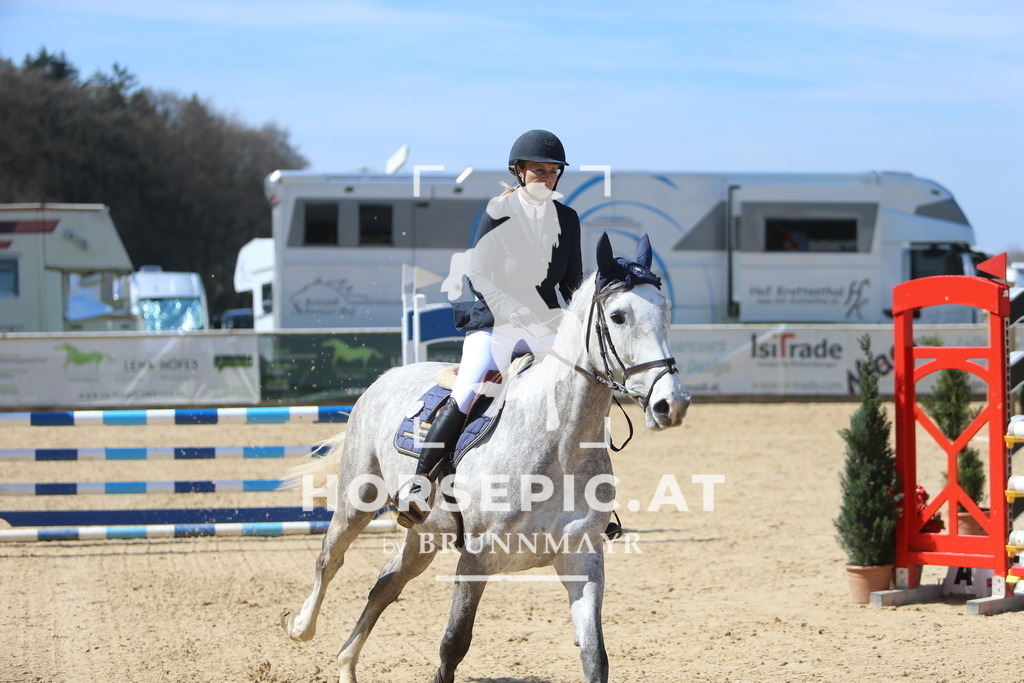 DL2Q0227 | Willkommen bei Brunnmayr - Design & Fotografie – Ihrem Spezialisten für Reitturniere und Pferdeveranstaltungen in Oberösterreich, Salzburg und Bayern! Seit über 17 Jahren sind wir leidenschaftlich dabei.