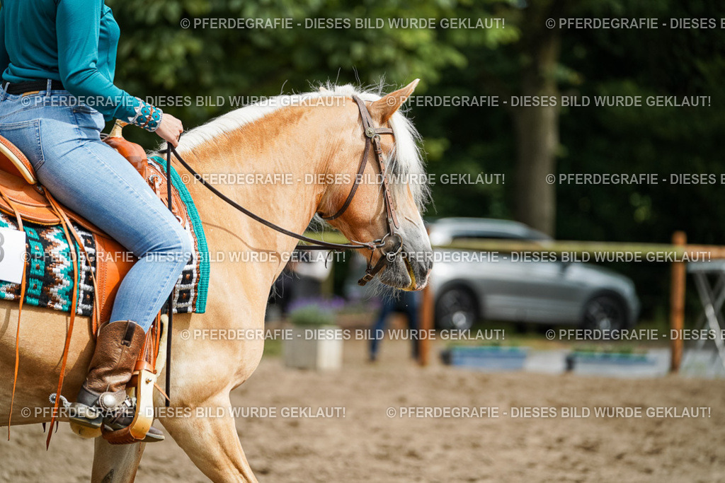 DSC04233 | Pferdegrafie