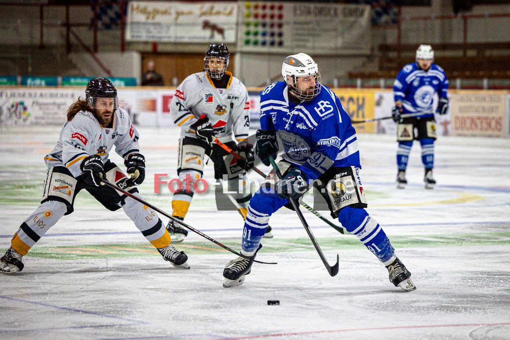SC Forst NATURE BOYS gegen WANDERERS Germering | Eishockey Landesliaga Herren Gruppe A 2024/2025, SC Forst NATURE BOYS gegen WANDERERS Germering, 20241025,Maximilian MEWES (Nature Boyz 91) in Aktion,2024-10-25 in Peißenberg (Eisstadion Peißenberg), Maximilian MEWES (Nature Boyz 91), Michael FISCHER (WANDERERS Germering 21)Copyright: WolfgangxLindner www.foto-lindner.de