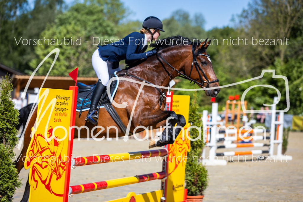 Donop24-A2Spr-079 | MomenTaufnahmen Pferdesportfotos