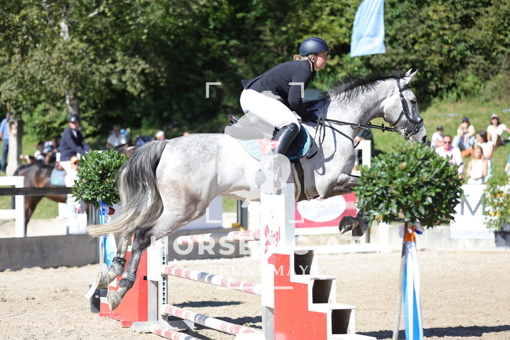 0P6A7029 | Willkommen bei Brunnmayr - Design & Fotografie – Ihrem Spezialisten für Reitturniere und Pferdeveranstaltungen in Oberösterreich, Salzburg und Bayern! Seit über 17 Jahren sind wir leidenschaftlich dabei.