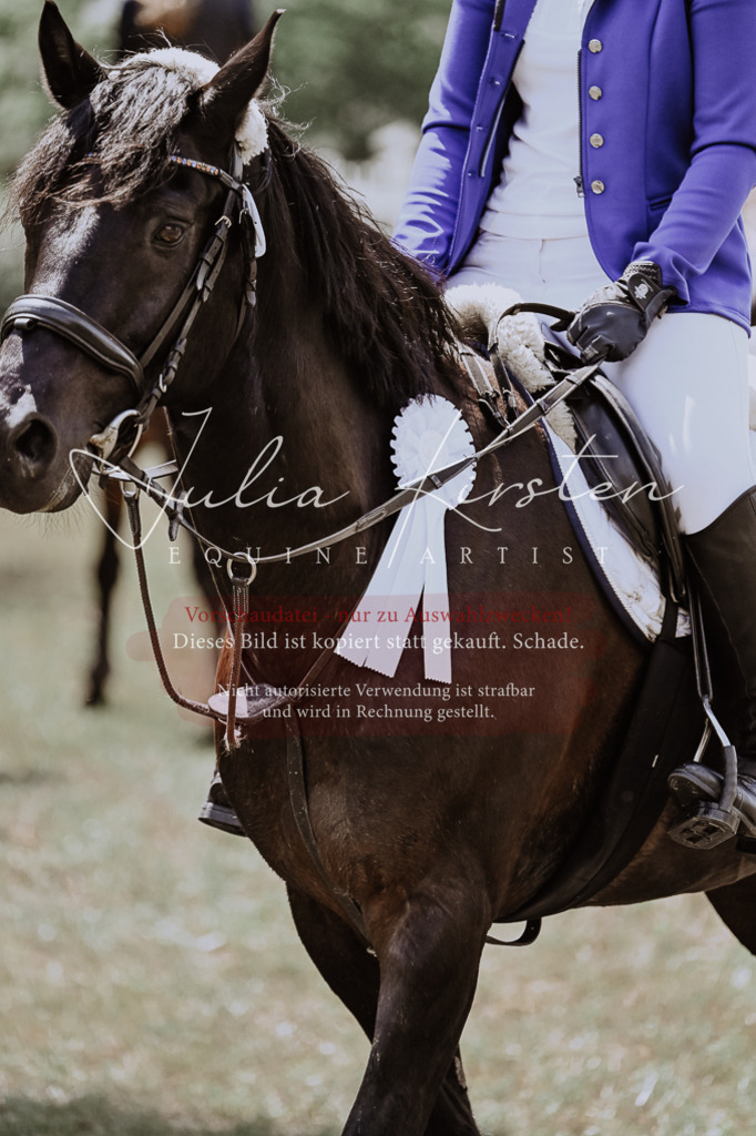DSC_9551 | Pferde- und Turnierfotografie in Westsachsen. Pferdeportraits, Auftragszeichnungen und intuitive Kunst.