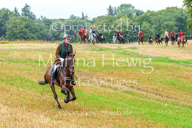 Jagd Kletkamp 26-02870_MarinaHewig | Fotografie, FotoArt, PferdesportArt, Pferdesportfotografie, Landschaftsfotografie, Reisefotografie, Reise, Pferde - Realisiert mit Pictrs.com