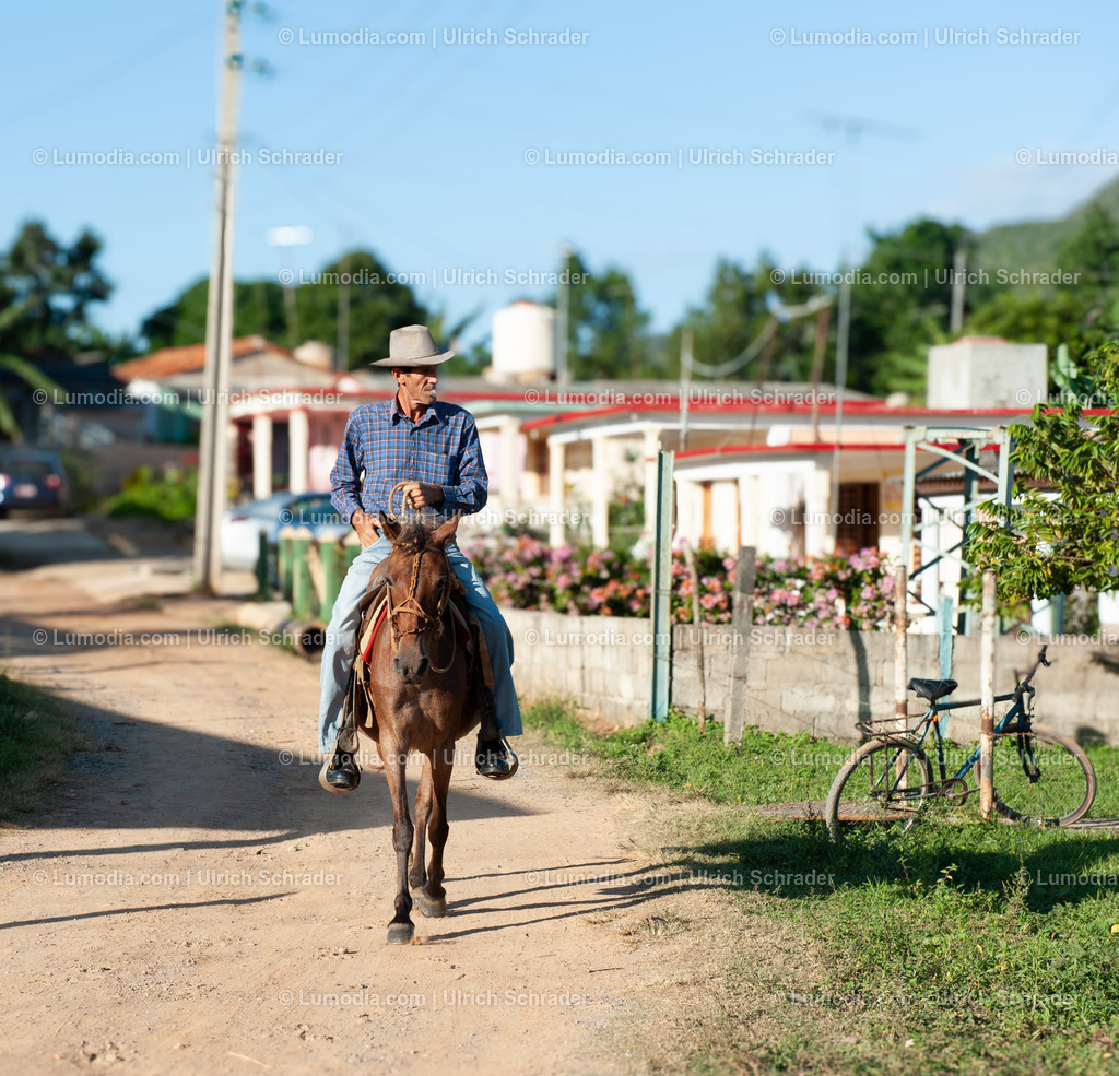 202510-101 | Stockfoto und Bilderpool mit Bildmaterial aus Deutschland, dem Harz, Halberstadt, Quedlinburg, Wernigerode und weltweit. Qualitativ hochwertige und professionelle Fotos anschauen und kaufen. - Realisiert mit Pictrs.com