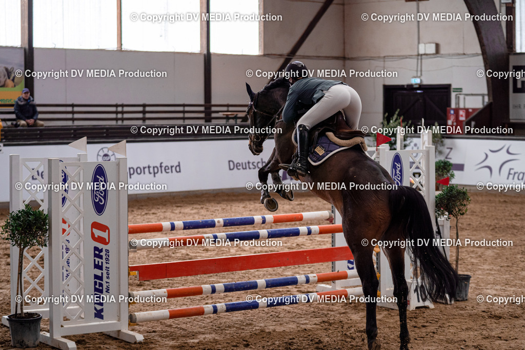 Kranichstein Tag 2-444 | dv-media-shop - Realisiert mit Pictrs.com