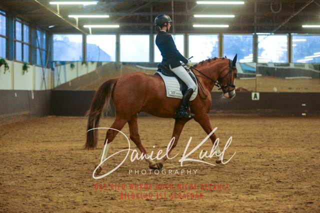IMG_8271 | Turniersportfotografie; Pferdefotografie; Dressurfotografie
