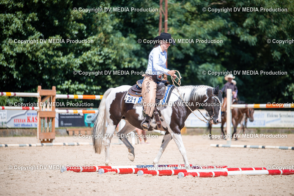 ZS1_1346 | dv-media-shop - Realisiert mit Pictrs.com