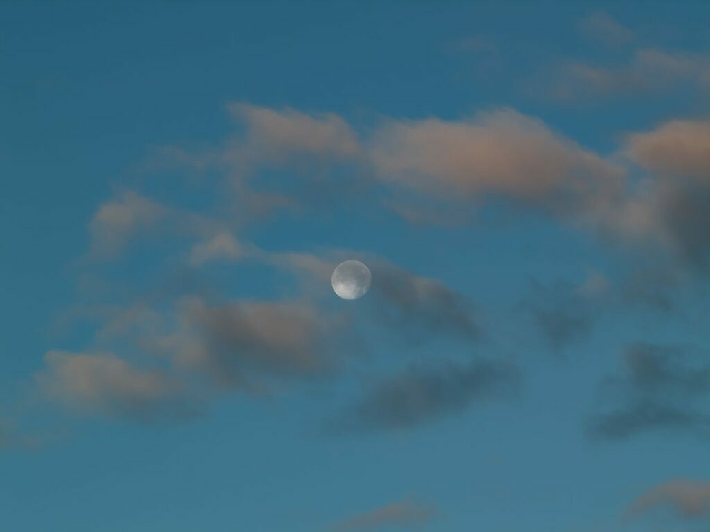 PSX_20221110_224331 | mtkfoto_ - Realisiert mit Pictrs.com