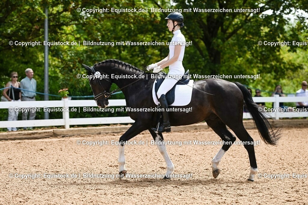 20230716_03_Dressurprfg. Kl.L - Tr._0018 | equistock