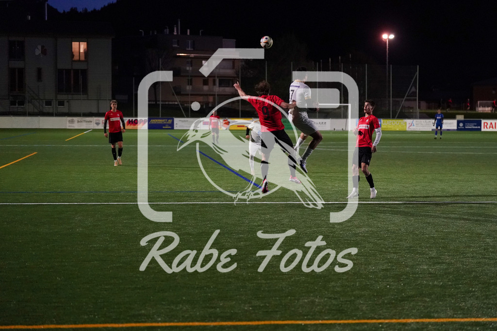 DSC08557 | rabefotos