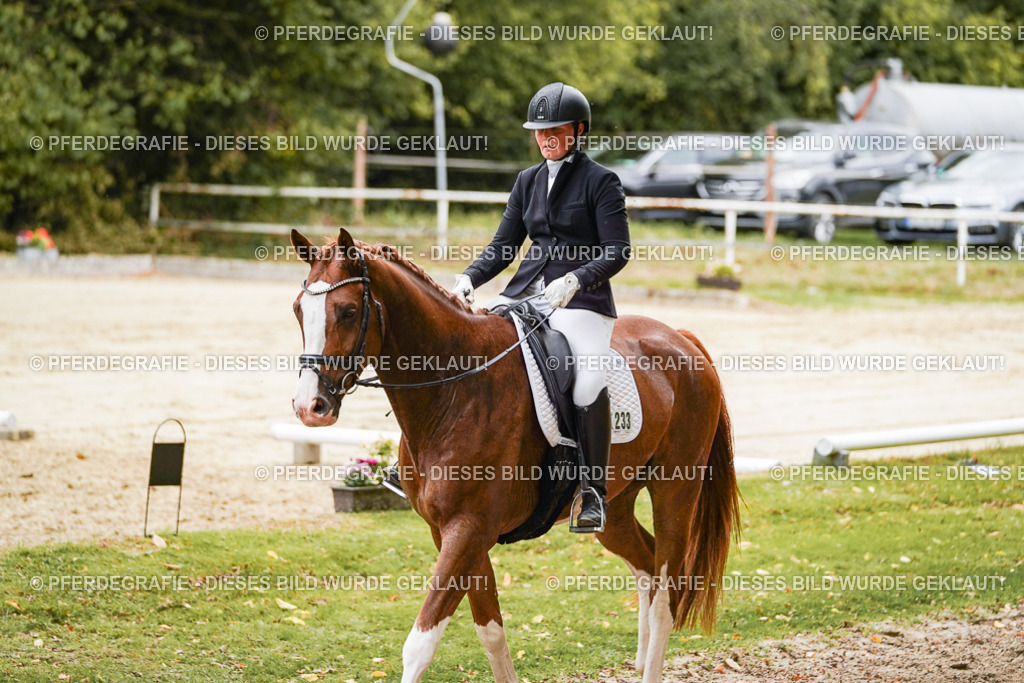 DSC00570 | Pferdegrafie