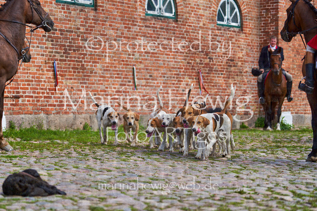 _MCH8541_Marina Hewig | Fotografie, FotoArt, PferdesportArt, Pferdesportfotografie, Landschaftsfotografie, Reisefotografie, Reise, Pferde - Realisiert mit Pictrs.com