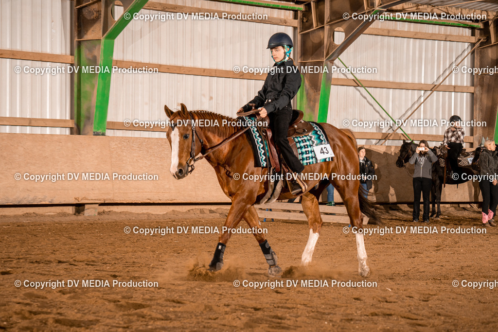 BAL03041 | dv-media-shop - Realisiert mit Pictrs.com