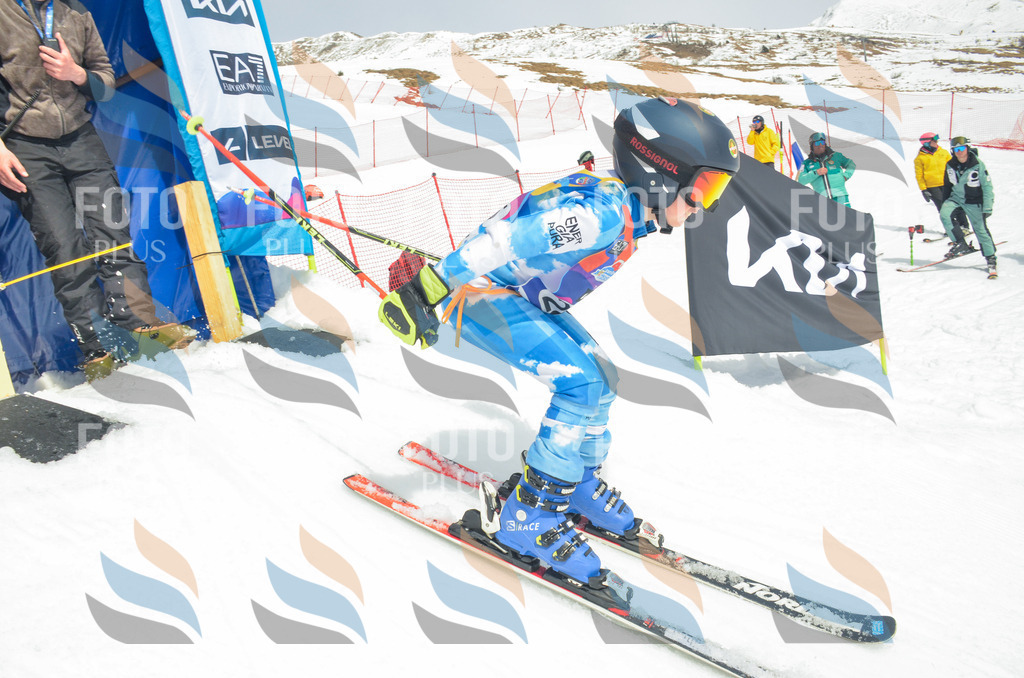 _ELE8008 | holidayphoto