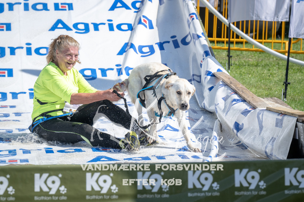 1135_ZZ92716 | kk-dogfotos