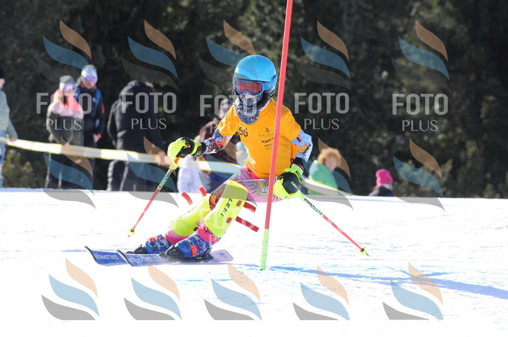 C6927 | holidayphoto