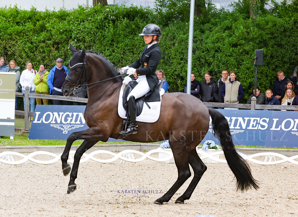 1B3A8046 | Reitsport Reiten
