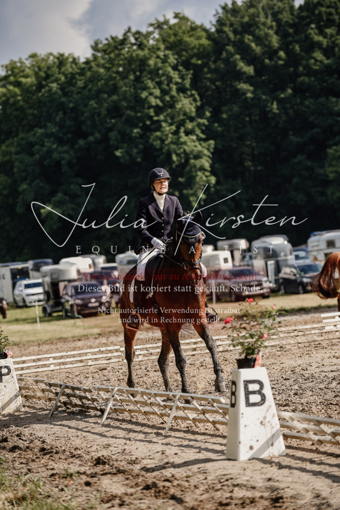 DSC_8801 | Pferde- und Turnierfotografie in Westsachsen. Pferdeportraits, Auftragszeichnungen und intuitive Kunst.
