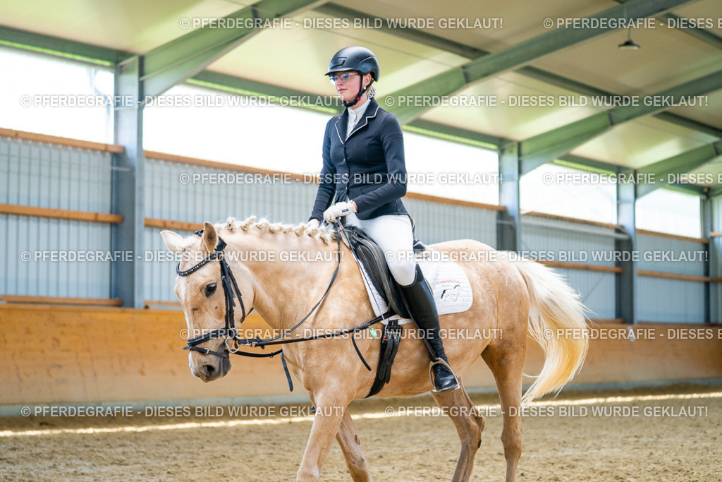 DSC09411 | Pferdegrafie