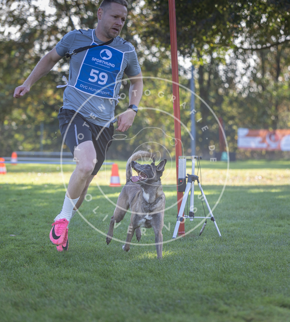 Pfotenfotografie.de_DV3A3214 | Hundefotografie, Tierfotograf, Pfotenfotografie, Fotoshooting Hund, Hunde Portrait, Hundesport, Hundeportraits, Heideshooting, Hunde, Sportfotograf, Hundefotograf, Turnierhundsport, THS, canicross - Realisiert mit Pictrs.com