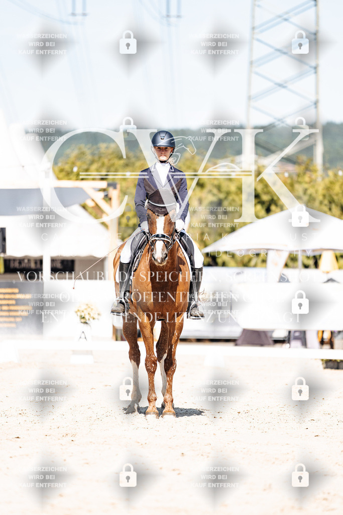 CK909381 | Turnierfotografie Pferdefotografie Trier Rheinland-Pfalz Pferdesport Reitsport Tierfotografie Sportfotografie Pferdevideo Pferdevideografie Equestrianvideography equestrianphotography  - Realisiert mit Pictrs.com