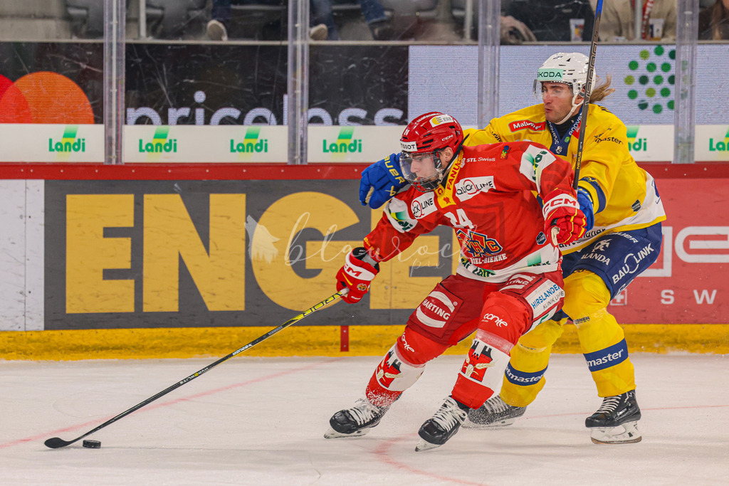 09112025_EHCB vs HCD_wb-3613 | Sportbilder, Sportfotograf, Hochzeits- und Eventfotografin, Flugshows, Portraits und Tiershooting, Aviation, Downhill, Nationalleague, Swissleague, International
