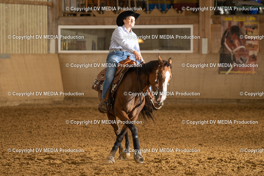 LAU00732 | dv-media-shop - Realisiert mit Pictrs.com