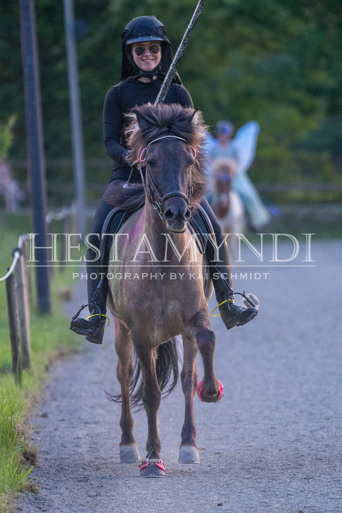 KAI07338 | Ihr sucht einen Fotografen für eure nächste OSI? Ich begleite auch euer Turnier für Islandpferde fotografisch.  - Realisiert mit Pictrs.com