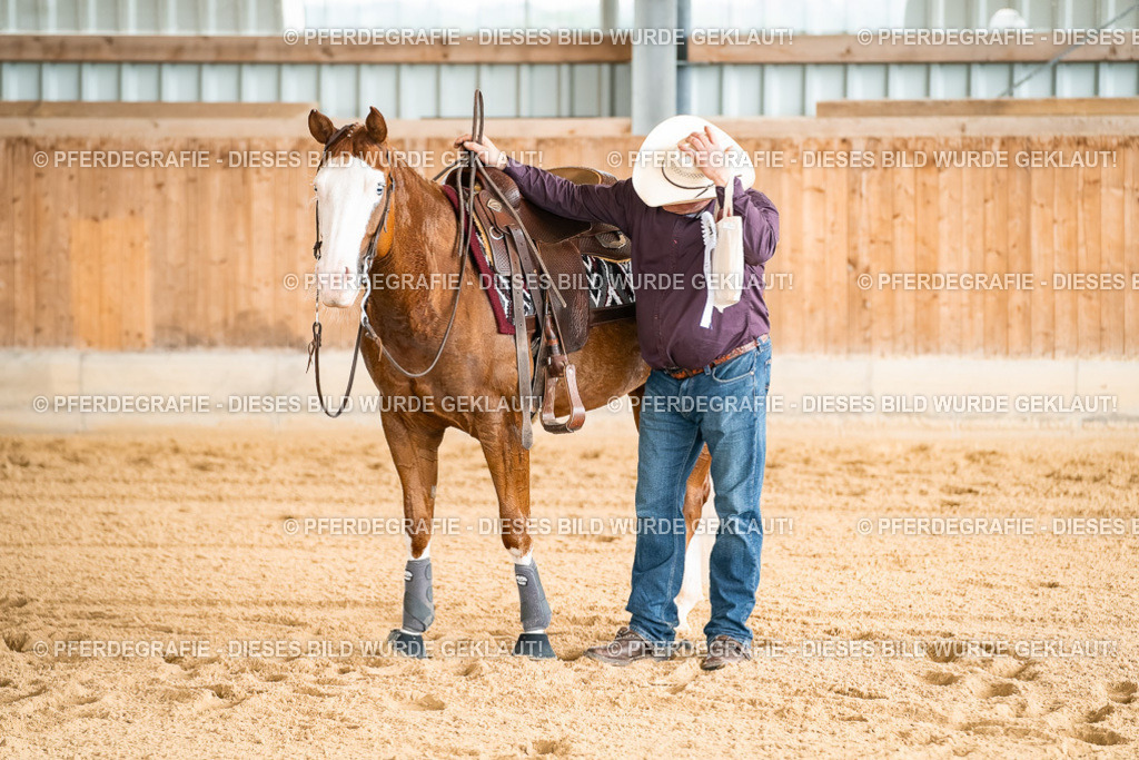 DSC02508 | Pferdegrafie