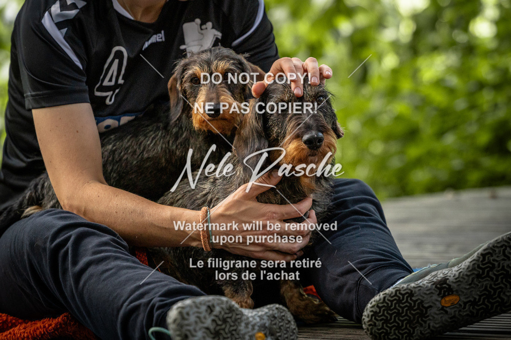 nelerasche_SaN_177 | nelerasche