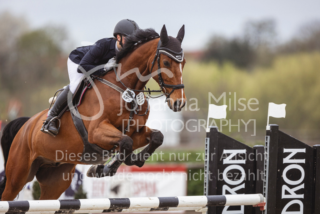 250417_Springpferde-L1-229 | Deine schönsten Turniermomente als professionelle Fotos! Entdecke hochwertige Pferdesport-Fotografie im Online-Shop. Jetzt Fotos finden & bestellen!