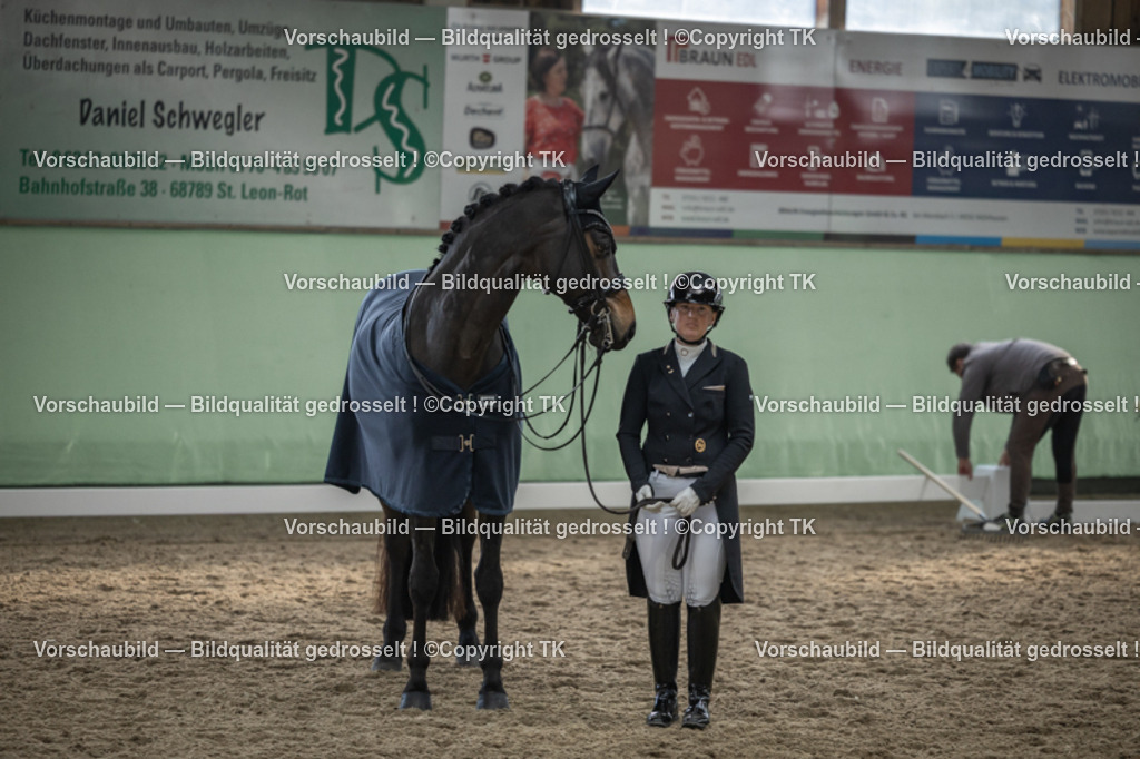 _D5A6725 | Emotionale Pferde- & People-Fotografie rund um Heidelberg, Leimen & Umgebung. Natürliche Fotos von Pferd, Mensch & Familie. Jetzt Termin sichern!