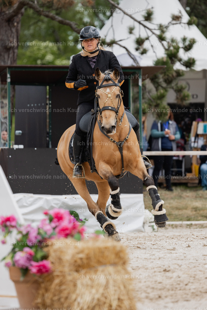 PI26_SP_StoibphotographyC2_C1607.jpg | working equitationturnier fotograf videograf stoibphotography marixx film working equitation deutschland reitsport turnierfotografie eventfotografie equestrian events