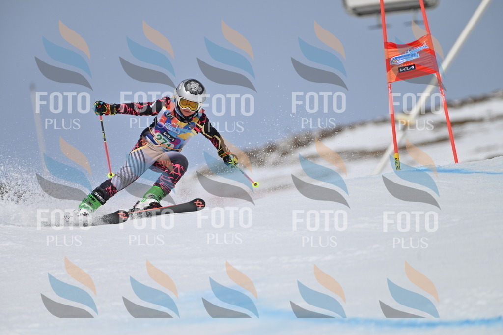 BGV_5359 | holidayphoto